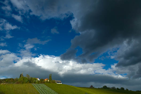 Dunkle Wolken und Weinberg