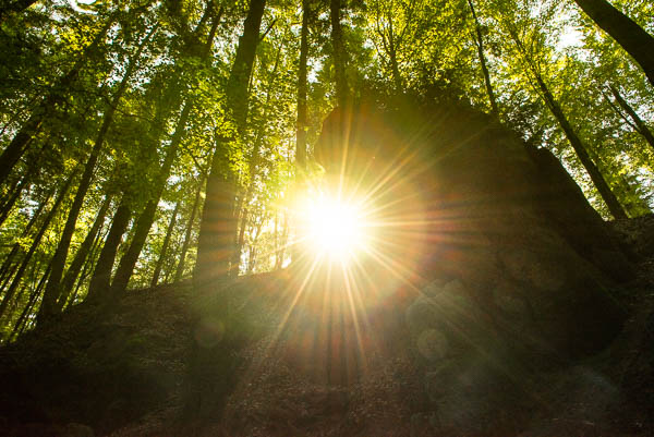 Sonnenstern – Blendenstern fotografieren Sonnenstern – Blendenstern fotografieren