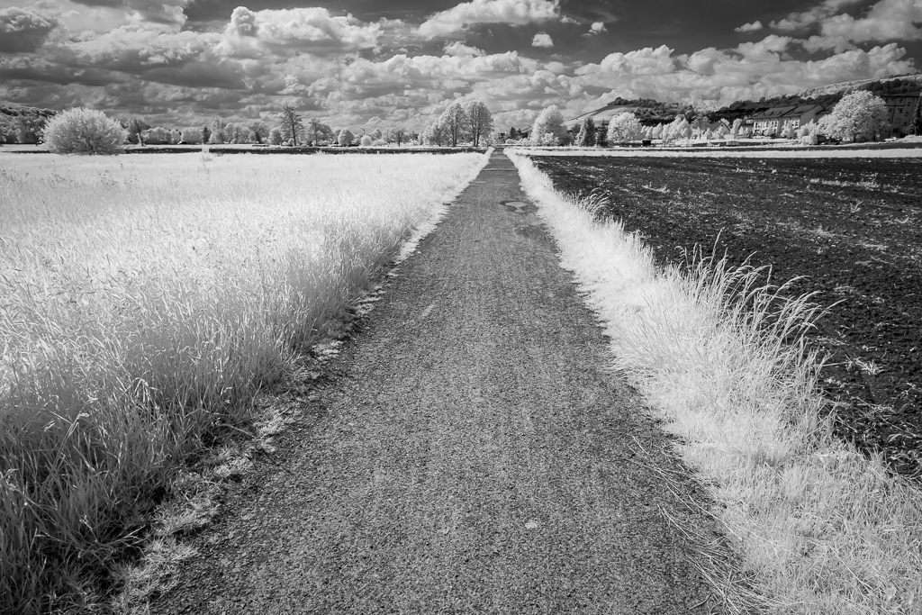 Feldweg in Schwarzweiß Infrarot