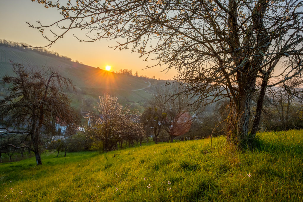 Mein schönstes Landschaftfoto Frühling 2020