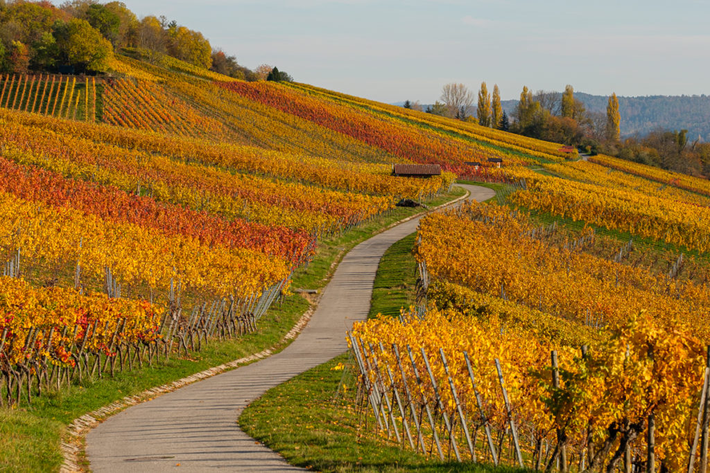 Teleobjektiv Landschaftsfotografie