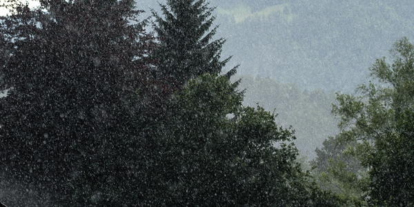 Sommerregen im Gegenlicht